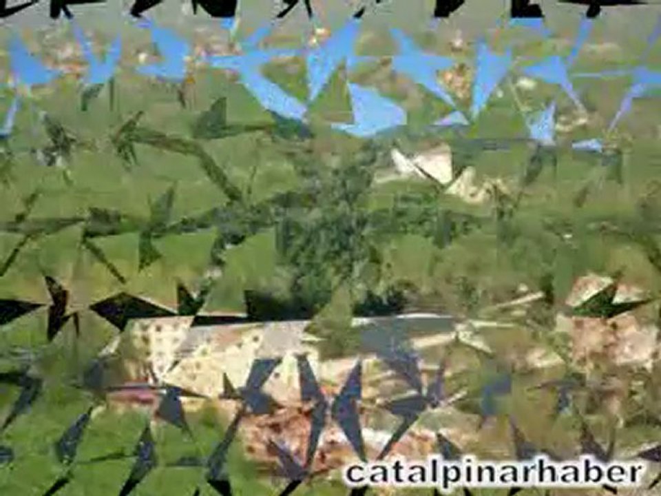 Fedai Öz-Divane Aşık gibi (ÇATALPINAR)