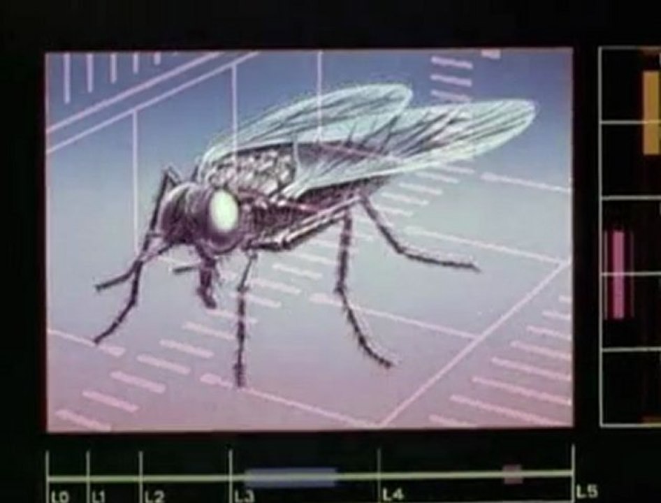 Die Fliege