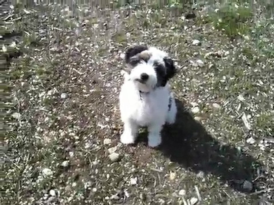 Tamba sur les bords du Rhin 02/04/2010