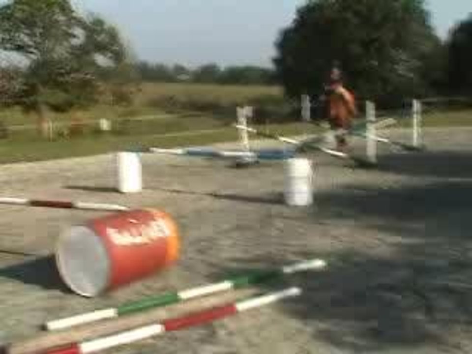 Gulli divers saut