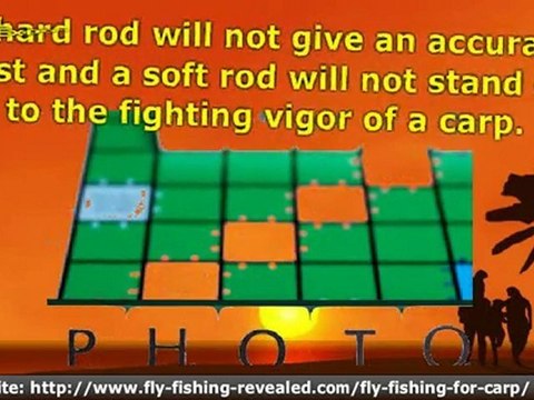 Carp Fly Fishing is Not Your Average Sport