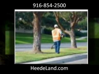 Lawn Maintenance Service in Natomas