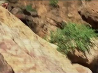 The Hills Have Eyes 2