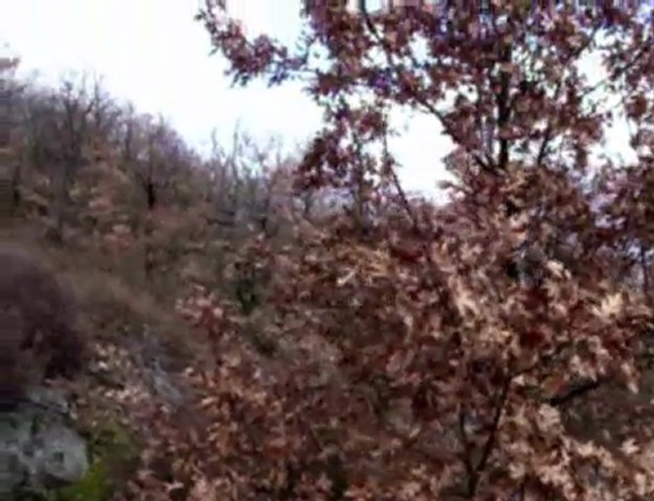 rallye du pays du gier 2010