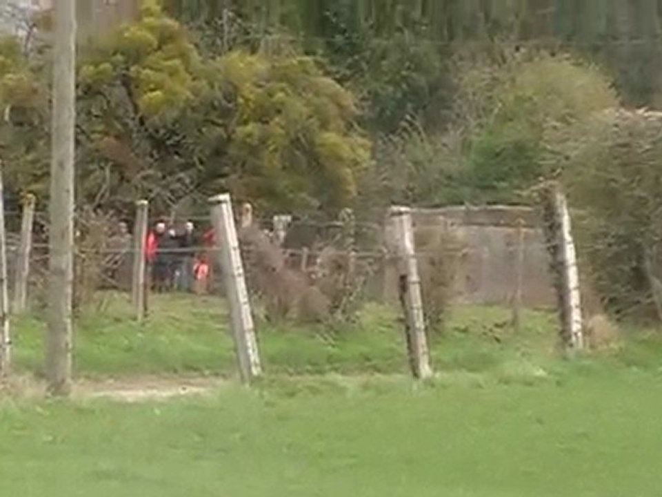 video rallye du marais 4 AVRIL 2010