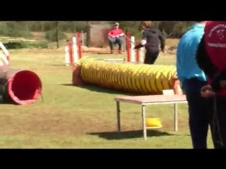 Buck Agility St Martin De Crau 04/04/10