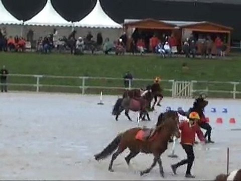 Pony Games Niort Avril 2010