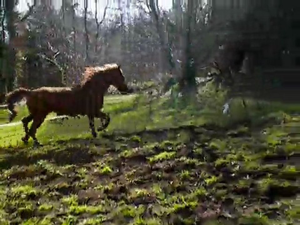 Ohio saut raté