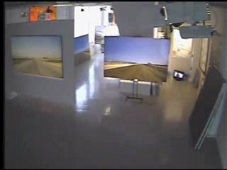 Voleur Chopé à la Galerie w