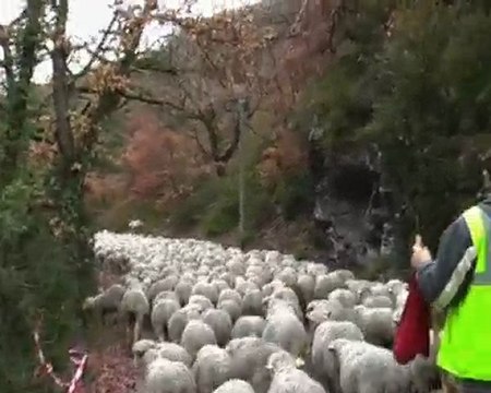 Sainte jalle. transhumance en Baronnies