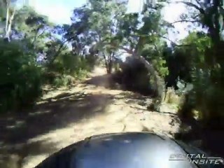 Dirt Bike Hooliganism Deep South in the Vines