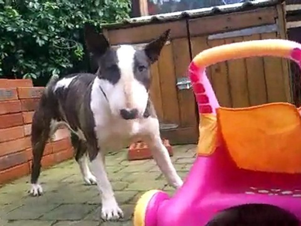 Bundy et la poussette musicale