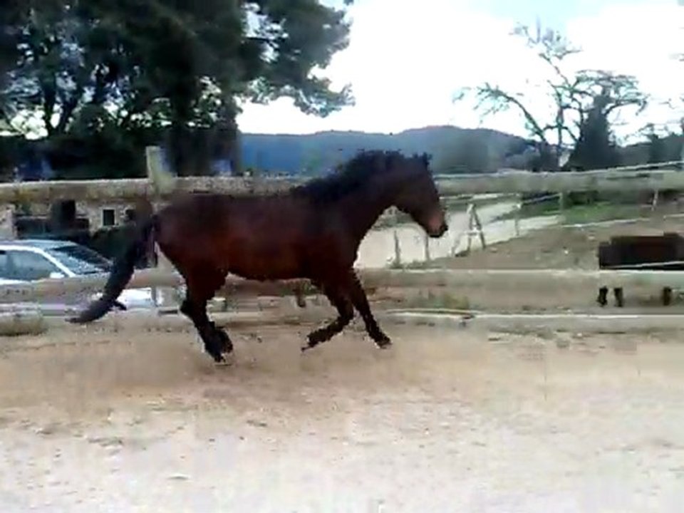 pépé rond de longe 1