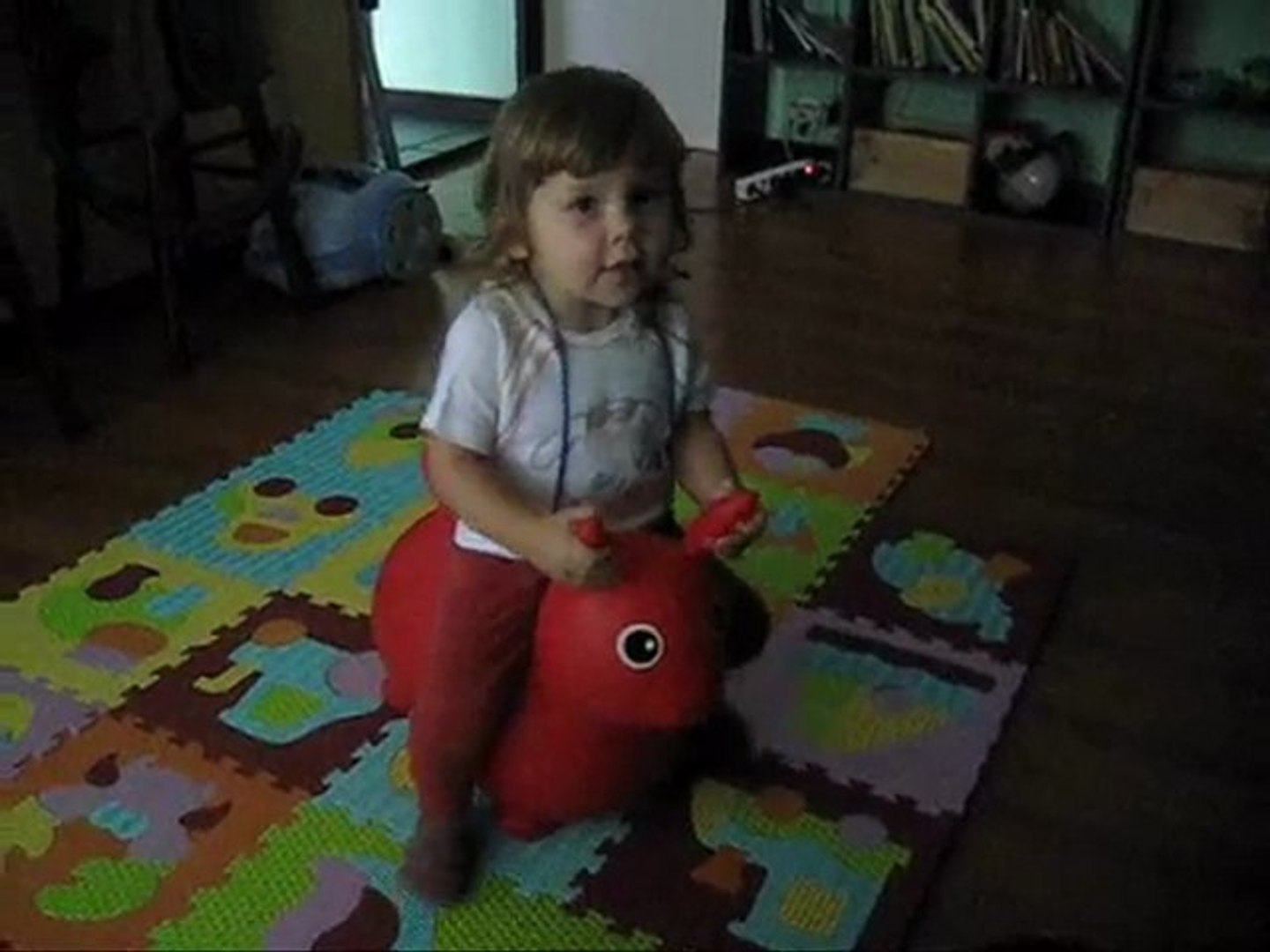 Cheval Sauteur Video Dailymotion