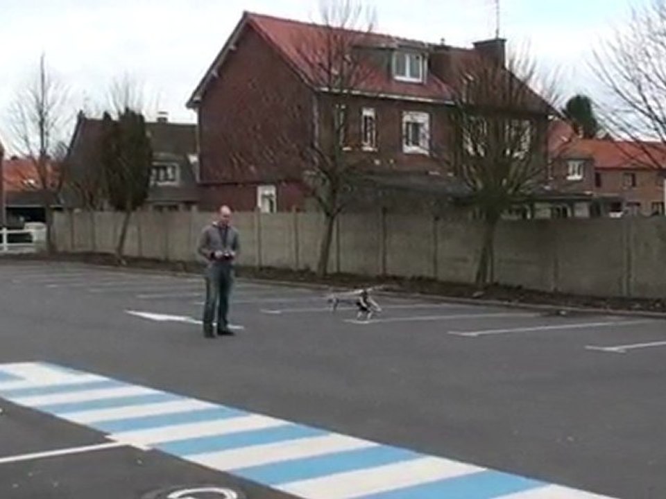 t-rex 500 premier vol