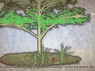 {Vietsub} [KST] Edison no haha ep 3_clip0