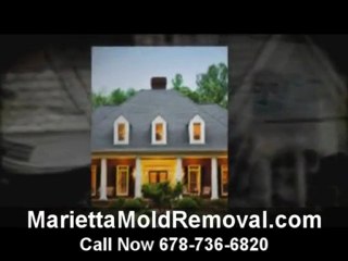 Mold Removal Marietta