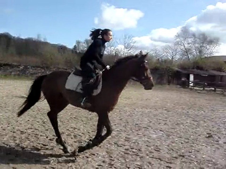 Guapy_CSO 05042010
