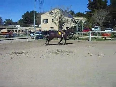 nana saut 5 avril 2010