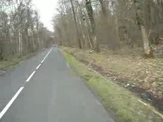 Foret de rambouillet 2