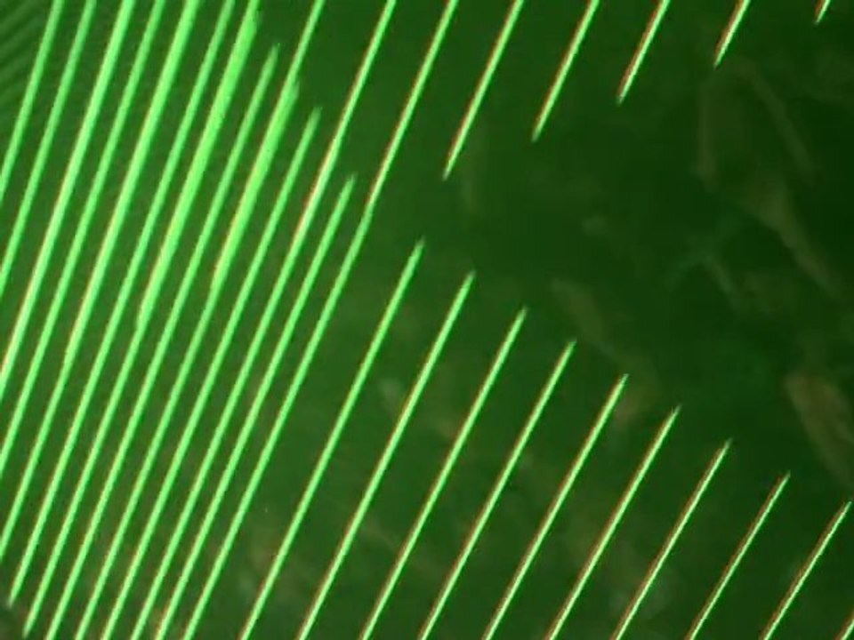 Major Lazer: "Lazers Never Die"