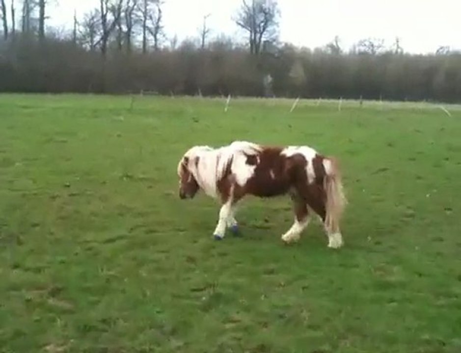 sidonie 1er trot 5 avril