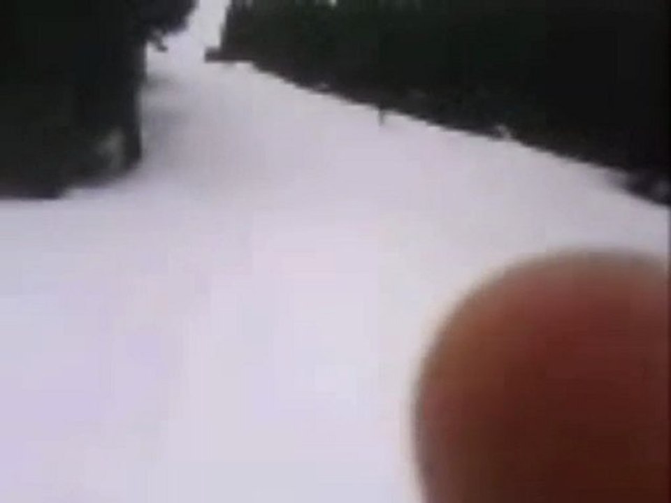 Semnoz 2010
