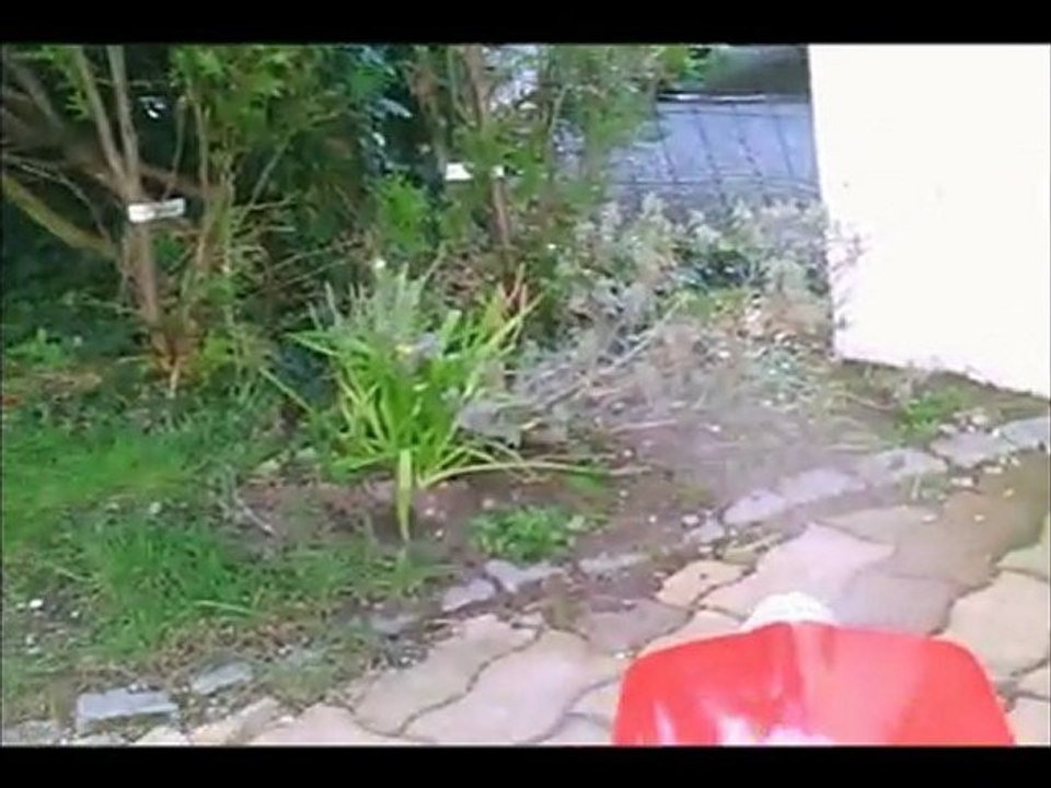 test moteur edge 540 2m