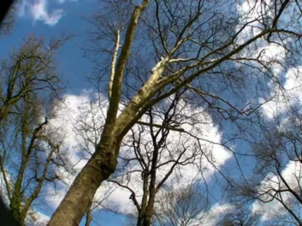 parc  de Sceaux  (92) 5 avril 2010