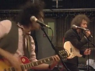 Postal Blowfish, Albert Hammond Jr (From the Basement)