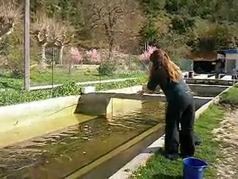 Rivières Theyrargues, Avril 2010, pêche Truite 1 , Sandrine