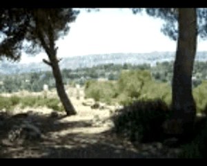 Le mur de l'apartheid - Sons of Gaïa