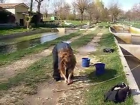 Rivières Theyrargues, Avril 2010, pêche Truite 2 , Sandrine