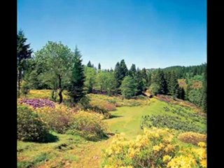 Altan Civelek ....   Karaduman