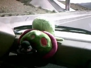 Les gazelles Marseillaise LENA-$-CO 2010 1er parite