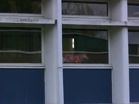 Lycée Agricole de Caulnes, Côtes d'Armor. (avril 2010)