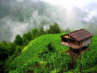 Hülya Ve Volkan Konak (Cikardum Sigurlari)