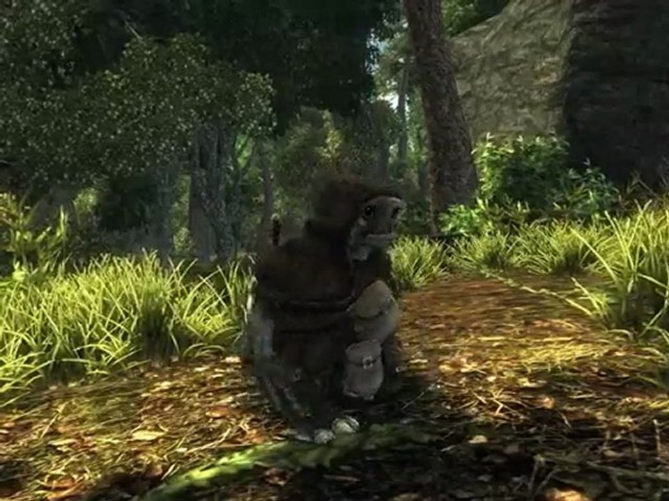 Risen - E3 2009 Trailer