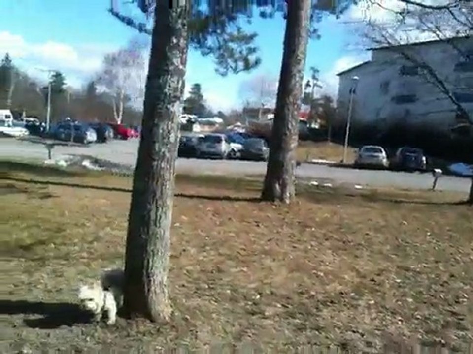 Ut på långpromenad