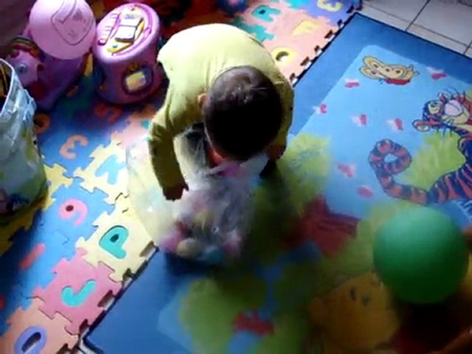 Chasse aux oeufs 2010