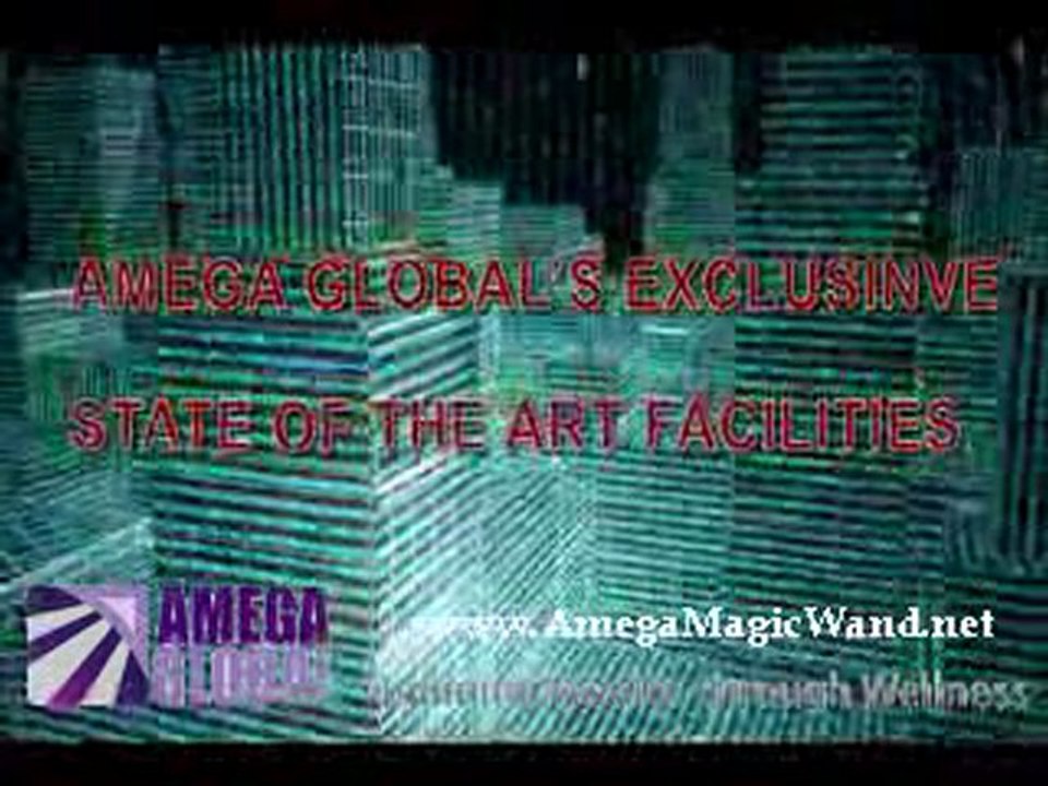 Amega Global LLC  - Presentation