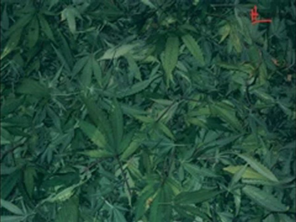 Southside Playaz - Swang down