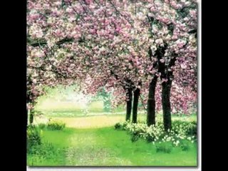 Toprak Olabilmek Abdullah İNAN