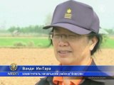Засуха губит урожай риса в Таиланде