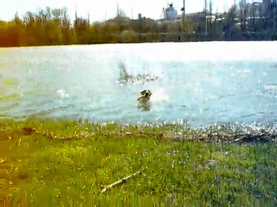 baignade dans la Saône