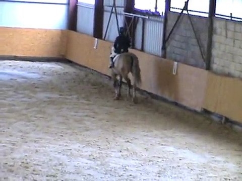 dressage club 1 préliminaire