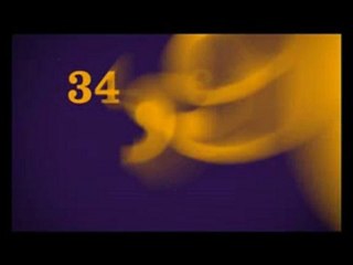 Segundo Spot ONO APURADOS