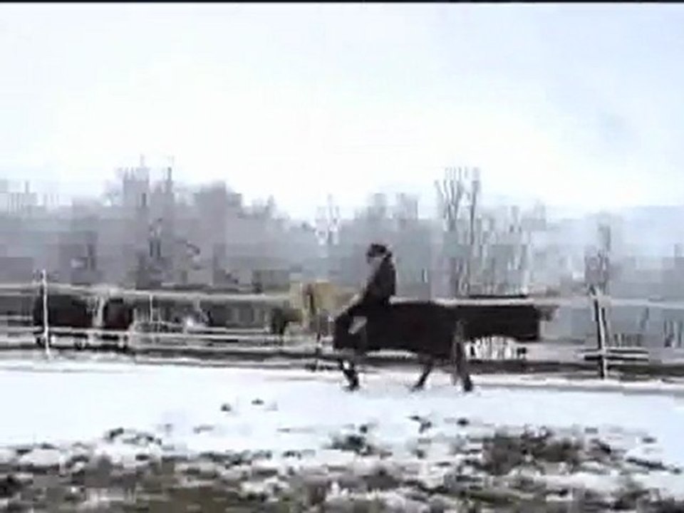 gipsy king