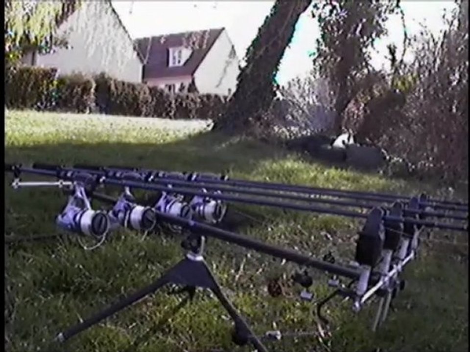 carp run, départ de carpe en live !