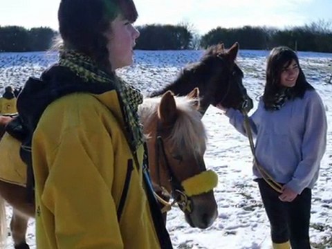 Lou&No Pony Games& Ethologie